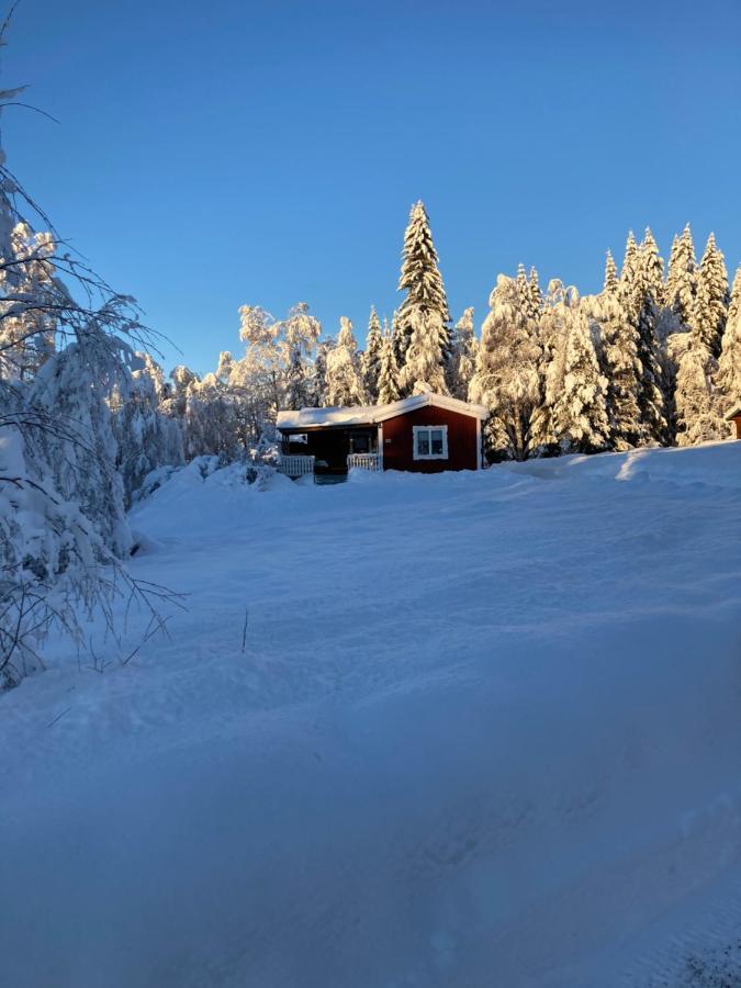 Baervallen 388 Salen  Bagian luar foto